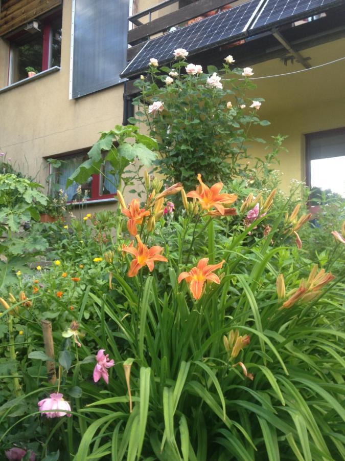 Villa Arve Bitsch Esterno foto