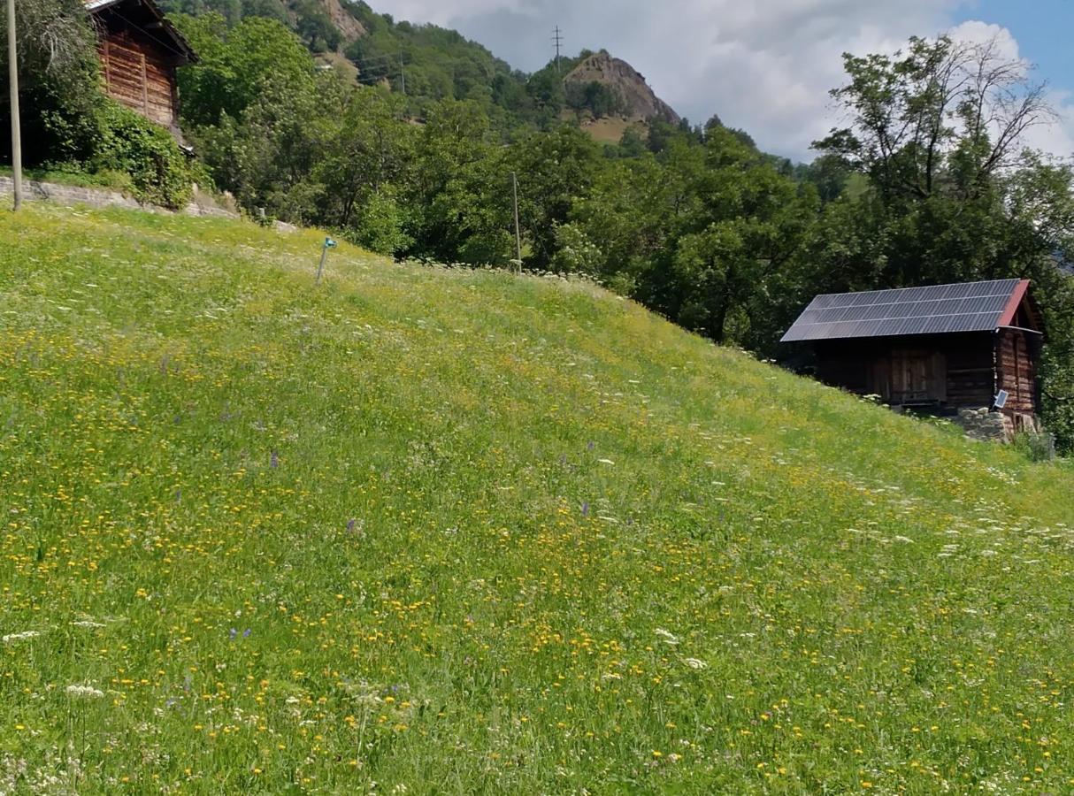 Villa Arve Bitsch Esterno foto